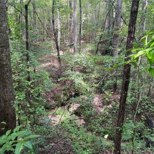 Photo #26 of Rock Quarry, Pelham, NC 29.0 acres