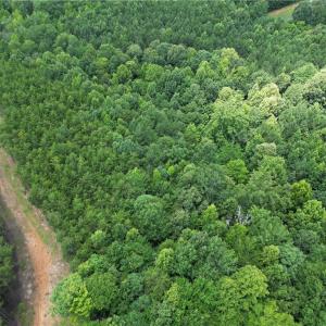 Photo #36 of Rock Quarry, Pelham, NC 29.0 acres
