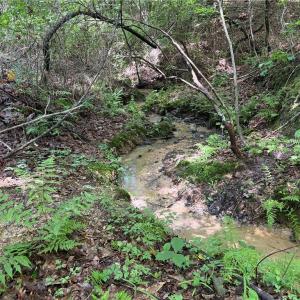 Photo #28 of Rock Quarry, Pelham, NC 29.0 acres