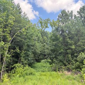 Photo #20 of Rock Quarry, Pelham, NC 29.0 acres