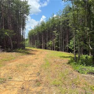 Photo #24 of Rock Quarry, Pelham, NC 29.0 acres