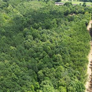 Photo #33 of Rock Quarry, Pelham, NC 29.0 acres