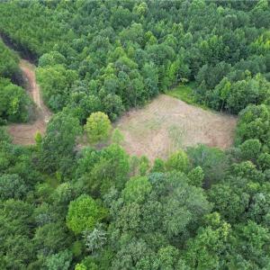 Photo #11 of Rock Quarry, Pelham, NC 29.0 acres