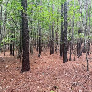 Photo #31 of Rock Quarry, Pelham, NC 29.0 acres