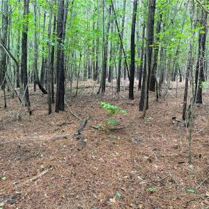 Photo #29 of Rock Quarry, Pelham, NC 29.0 acres