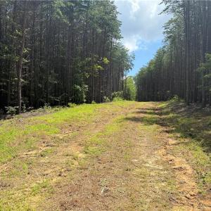 Photo #8 of Rock Quarry, Pelham, NC 29.0 acres