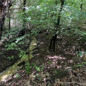 Photo #25 of Rock Quarry, Pelham, NC 29.0 acres