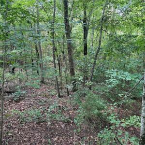 Photo #21 of Rock Quarry, Pelham, NC 29.0 acres