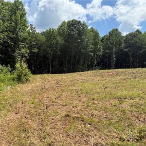 Photo #23 of 134 Rock Quarry, Pelham, NC 29.0 acres