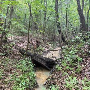 Photo #27 of 134 Rock Quarry, Pelham, NC 29.0 acres