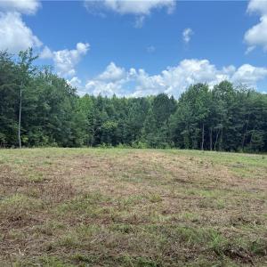 Photo #6 of 134 Rock Quarry, Pelham, NC 29.0 acres