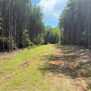 Photo #17 of 134 Rock Quarry, Pelham, NC 29.0 acres