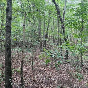 Photo #22 of 134 Rock Quarry, Pelham, NC 29.0 acres