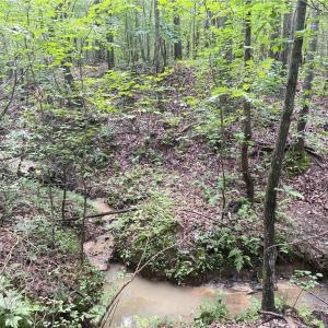 Photo #32 of 134 Rock Quarry, Pelham, NC 29.0 acres