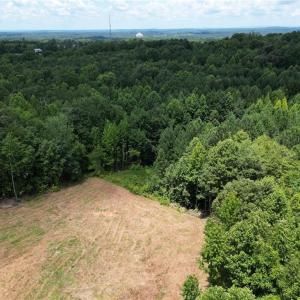 Photo #9 of 134 Rock Quarry, Pelham, NC 29.0 acres