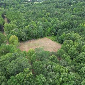 Photo #10 of 134 Rock Quarry, Pelham, NC 29.0 acres