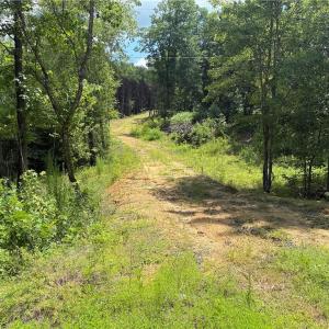 Photo #14 of 134 Rock Quarry, Pelham, NC 29.0 acres