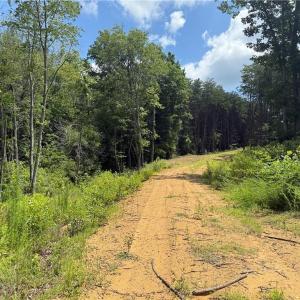 Photo #15 of 134 Rock Quarry, Pelham, NC 29.0 acres