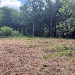 Photo #19 of 134 Rock Quarry, Pelham, NC 29.0 acres