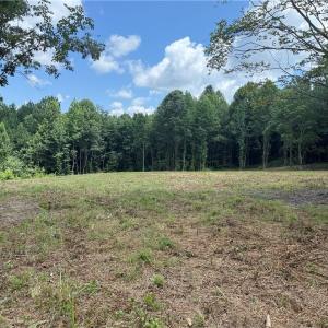 Photo #4 of 134 Rock Quarry, Pelham, NC 29.0 acres