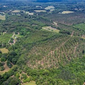 Photo #1 of NC Highway 770, Eden, NC 43.6 acres