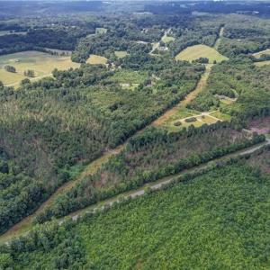 Photo #8 of NC Highway 770, Eden, NC 43.6 acres