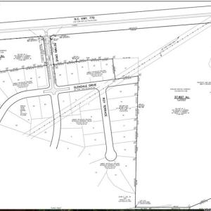 Photo #11 of NC Highway 770, Eden, NC 43.6 acres