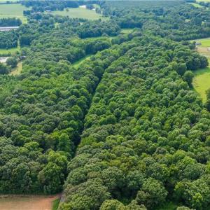 Photo #17 of 3635 Weeden, Staley, NC 37.8 acres