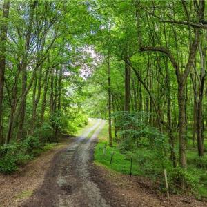Photo #16 of 3635 Weeden, Staley, NC 37.8 acres