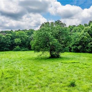 Photo #5 of 3635 Weeden, Staley, NC 37.8 acres