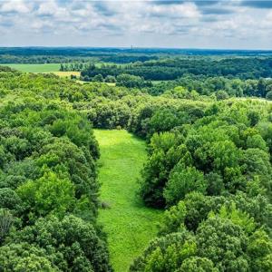 Photo #14 of 3635 Weeden, Staley, NC 37.8 acres