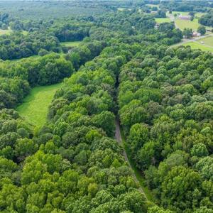 Photo #18 of 3635 Weeden, Staley, NC 37.8 acres