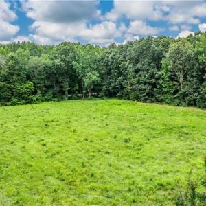 Photo #15 of 3635 Weeden, Staley, NC 37.8 acres
