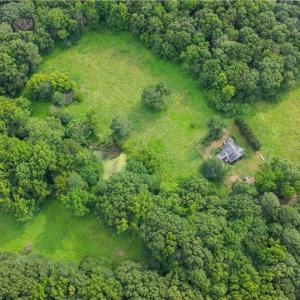 Photo #19 of 3635 Weeden, Staley, NC 37.8 acres
