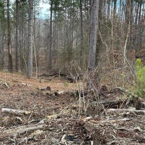Photo #27 of 8061 Stroupe Farm, Tobaccoville, NC 5.5 acres