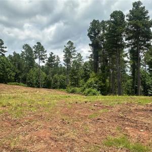 Photo #6 of 8061 Stroupe Farm, Tobaccoville, NC 5.5 acres
