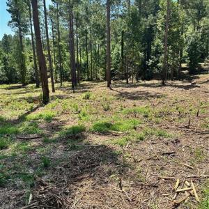 Photo #13 of 8061 Stroupe Farm, Tobaccoville, NC 5.5 acres