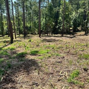 Photo #17 of 8061 Stroupe Farm, Tobaccoville, NC 5.5 acres