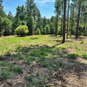 Photo #16 of 8061 Stroupe Farm, Tobaccoville, NC 5.5 acres