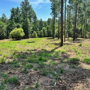Photo #12 of 8061 Stroupe Farm, Tobaccoville, NC 5.5 acres