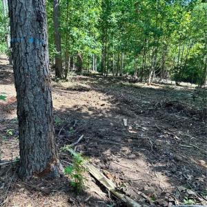 Photo #22 of 8061 Stroupe Farm, Tobaccoville, NC 5.5 acres