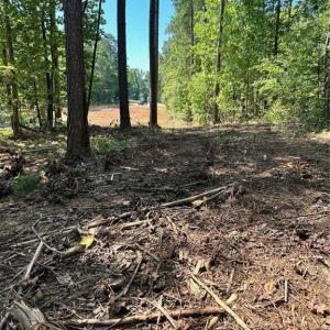Photo #7 of 8061 Stroupe Farm, Tobaccoville, NC 5.5 acres