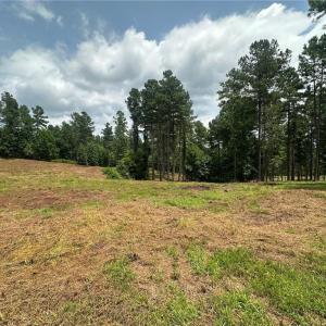 Photo #3 of 8061 Stroupe Farm, Tobaccoville, NC 5.5 acres