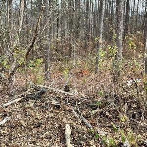 Photo #28 of 8061 Stroupe Farm, Tobaccoville, NC 5.5 acres