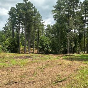 Photo #5 of 8061 Stroupe Farm, Tobaccoville, NC 5.5 acres