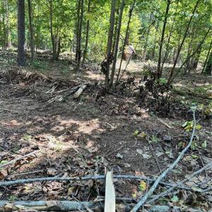 Photo #20 of 8061 Stroupe Farm, Tobaccoville, NC 5.5 acres