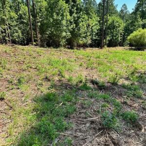 Photo #9 of 8061 Stroupe Farm, Tobaccoville, NC 5.5 acres