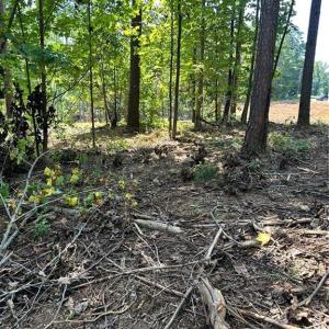 Photo #24 of 8061 Stroupe Farm, Tobaccoville, NC 5.5 acres