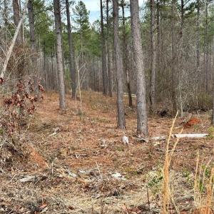 Photo #34 of 8061 Stroupe Farm, Tobaccoville, NC 5.5 acres