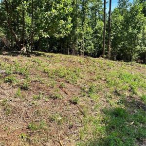 Photo #10 of 8061 Stroupe Farm, Tobaccoville, NC 5.5 acres